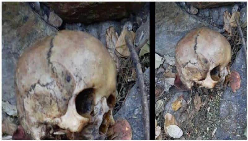 Human skull found on hill at  Palakkad