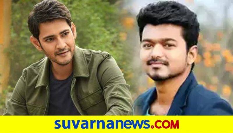 Fan war between thalapathy vijay and prince Mahesh Babu vcs