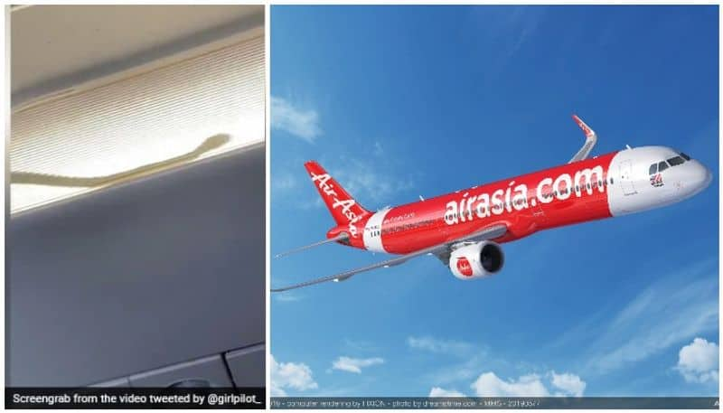 Passengers Spotted A Snake Inside An AirAsia Flight