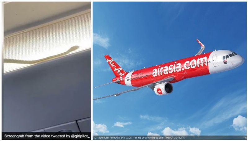 Passengers Spotted A Snake Inside An AirAsia Flight