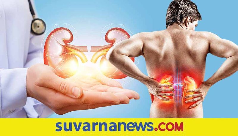 How to protect your kidneys during Summer need to have liquid a lot