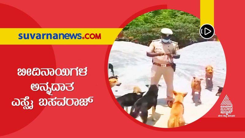 A Police Officer In Bengaluru Feeds Hundreds of Street Dogs everyday skr