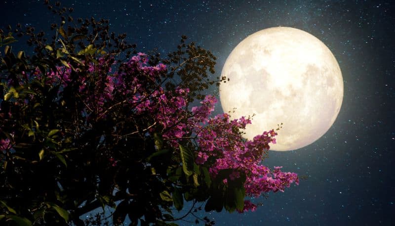 full moon on April 23rd find out which signs of the zodiac will be impacted suh