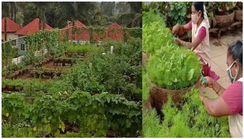 Bengaluru school starting vegetable farming in Lock down