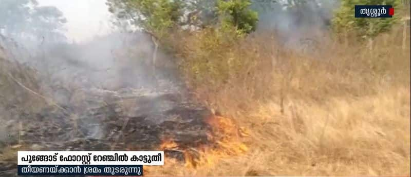 forest fire in thrissur Poongode