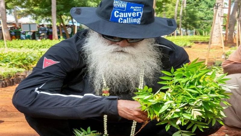 cauvery calling plan to plant 2 and half crores trees in next year