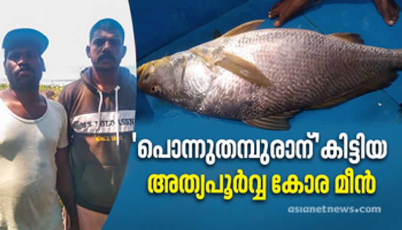 Rare goal fish off the coast of Kollam