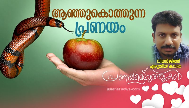 Valentines day 2022  love poem by vimaljith