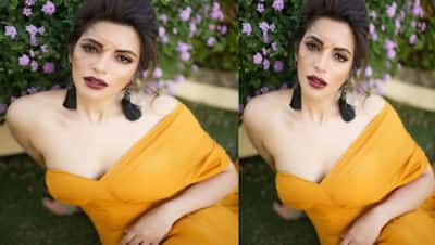 Shama Sikander बनने वाली हैं दुल्हन, USA के बॉयफ्रेंड के साथ इस दिन रचाएंगी शादी, फेयरीटेल जैसी है लव स्टोरी