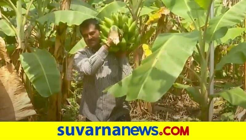 Two Brothers from Kolar Karnataka chose Organic farming over their well paid Jobs hls