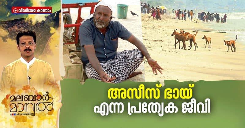 meet AseesBhai from kozhikode with whom birds and dogs are very friendly