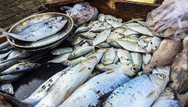 operation mathsya Kerala Food Safety Dept seizes 1707 kg stale fish