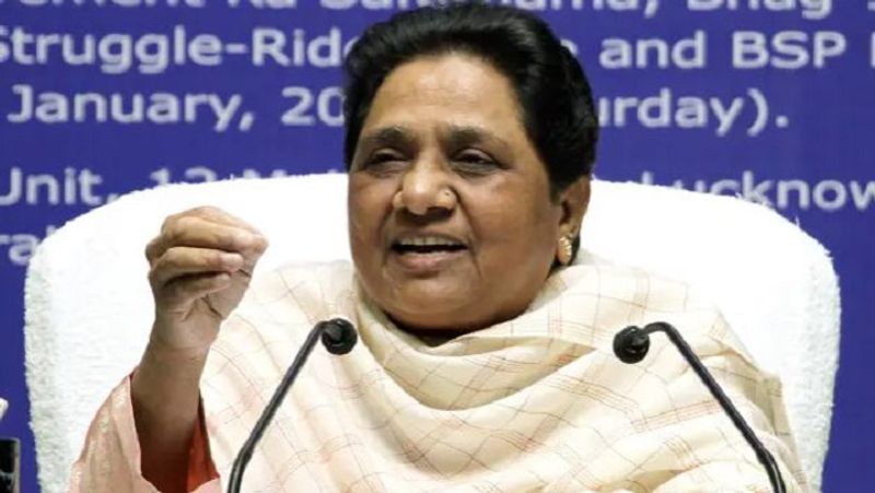 Mayawati Praises Amit Shah For Acknowledging BSP Ability To Get Dalit Votes pod