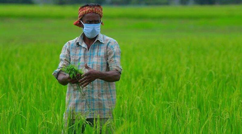 Prize for farmers who excel in agriculture: tamilnadu Government announcement