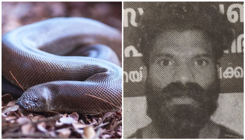 Illegal sand boa snake trafficking seized by RPF