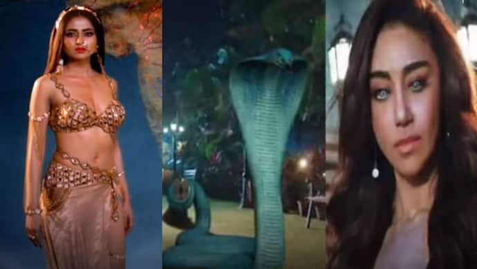 Naagin 6 Spoiler Alert: नागिन अपने पहले असुर को करेगी खत्म, ऋषभ करेगा शादी से इंकार