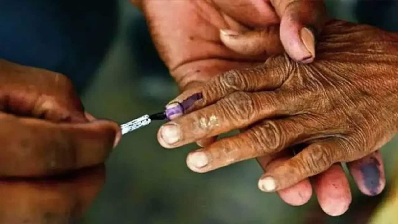 Mizoram Assembly Election result 2023: Mizo National Front's Lalrintluanga Sailo secured Dampa