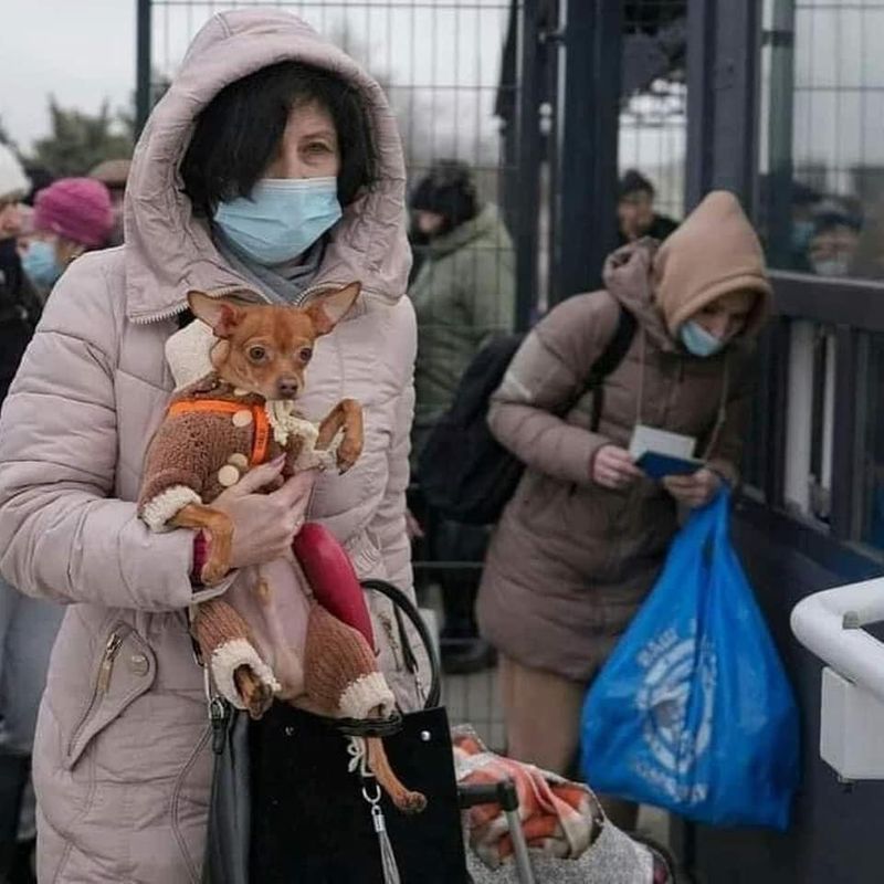 Ukraine people fleeing country with their pets to seek shelter from Russian airstrikes ckm