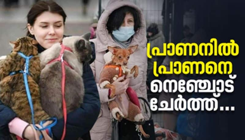 ukraine people fleeing with pets at russia invasion photos