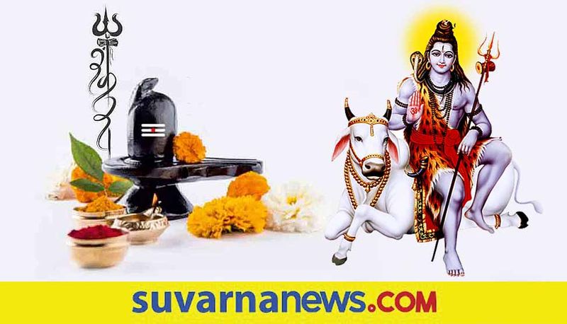 These Zodiac Signs To Get Special Blessings of Lord Shiva on Mahashivratri 2022