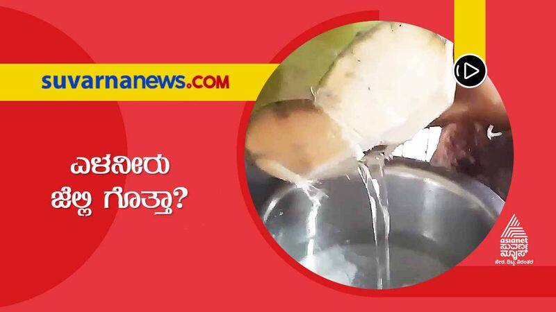 Do not Miss Tender Coconut Jelly When You are in Coorg skr