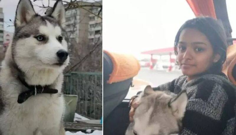 kerala student refuses to leave ukraine without her pet dog