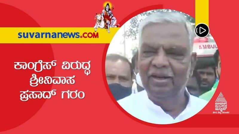 Chamarajanagar BJP MP V Srinivas Prasad Slams on Congress grg