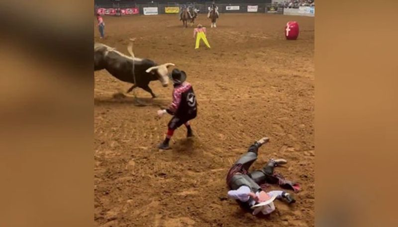 video in which father saves son from accident that happened in bullfight