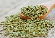 Fennel Seeds Benefits: How eating them after meals can boost digestion and overall health iwh