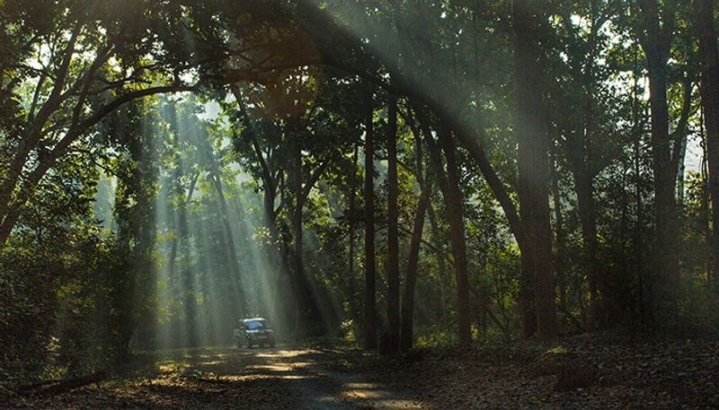 Tiger Reserves and National Parks of India