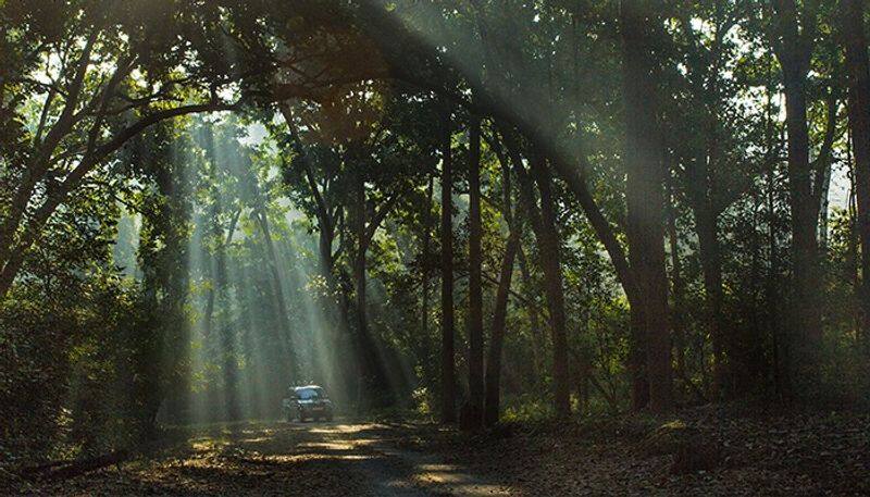 Tiger Reserves and National Parks of India