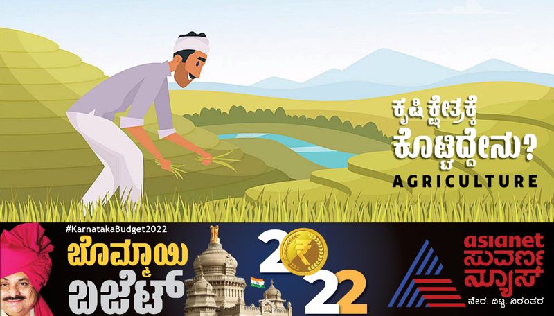 Karnataka budget 2022 rs 33700 crore for Agriculture Sector rbj