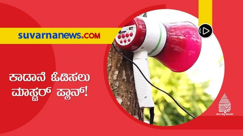 Chikkamagalur Villagers Use Sound Systems To Chase Away Elephants hls