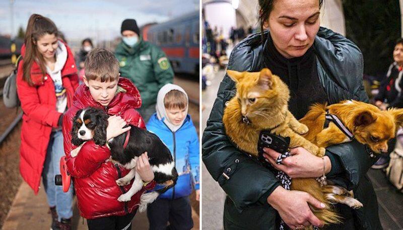 Pictures of dogs-cats: Check out how animals are being rescued amid Russia-Ukraine war RCB