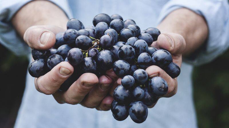 health benefits of black grapes in tamil