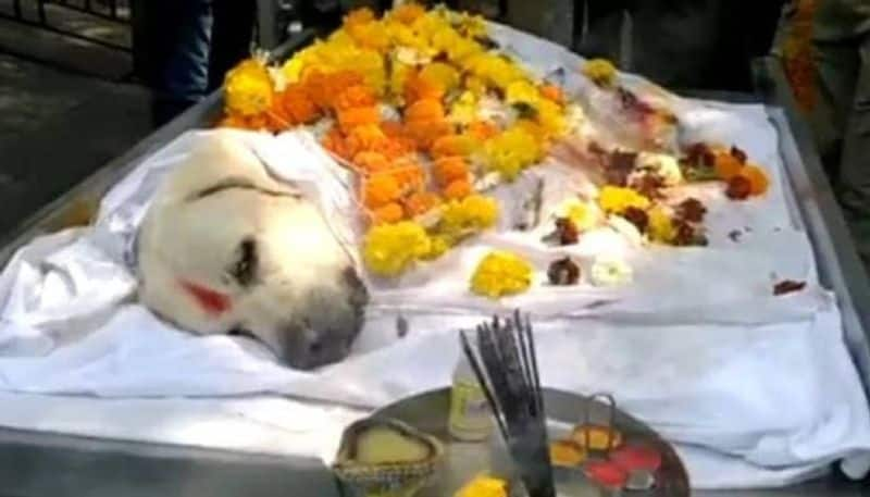 Bomb Detection Dog Simba cremated with three gun salute