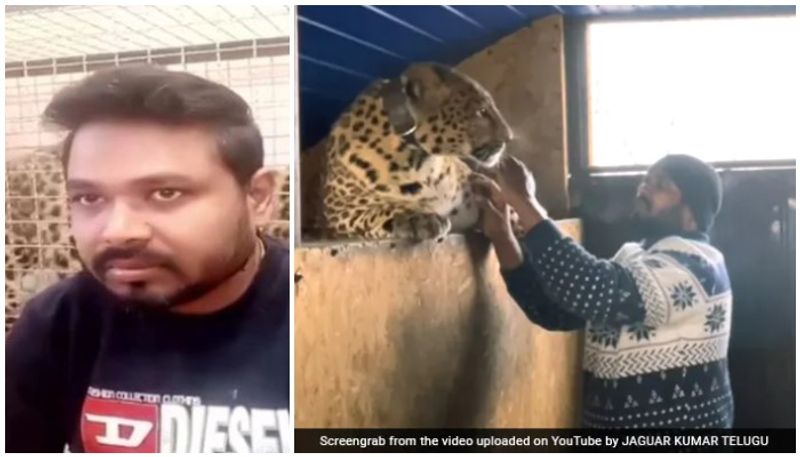 Indian Doctor Refuses To Leave Ukraine Without His Pet Jaguar And Panther