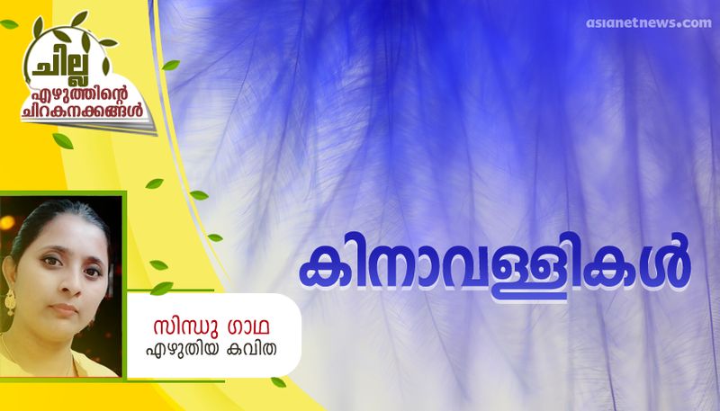 chilla malayalam poem by Sindhu Gadha