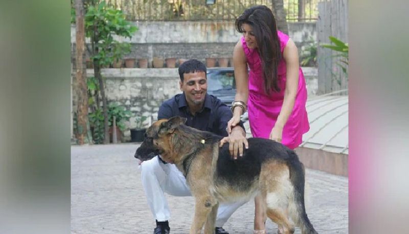 akshay kumar and twinkle khanna shares grief after death of their pet dog