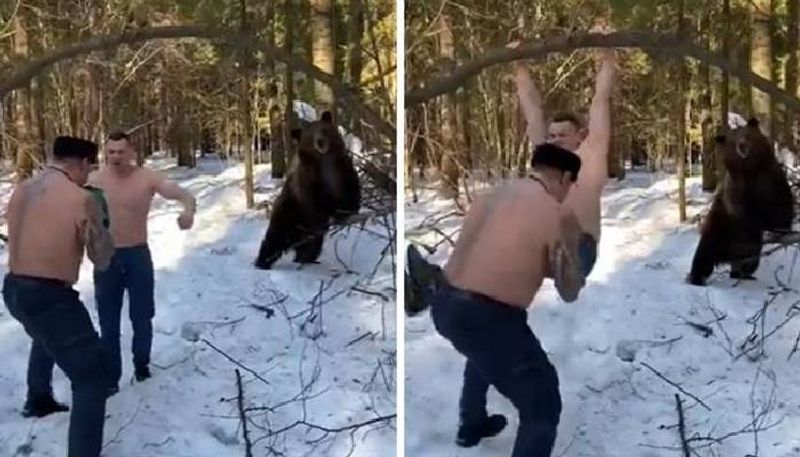 Men working out along with a bear