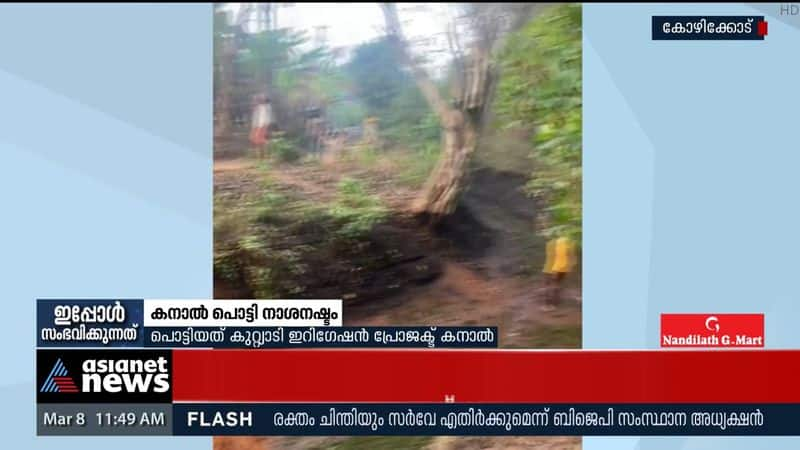 Canal burst in Kozhikode Kuttyadi causes extensive damage to crops and floods