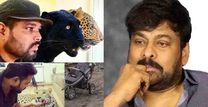 Chiranjeevi gets emotional as a Telugu doctor refuses to leave Ukraine without his pets RCB