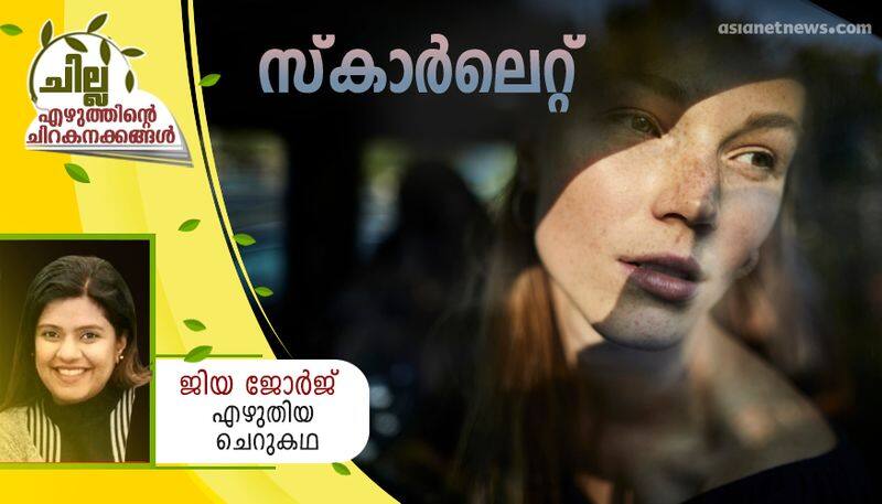 chilla malayalam short story by Jia George