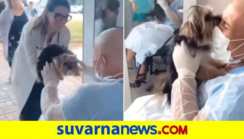 video of a cancer patient reuniting with her pet dog akb