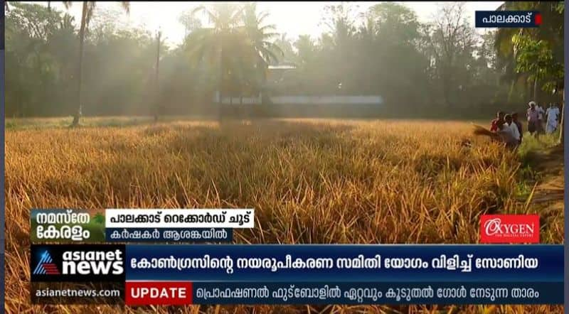 Farmers worried as heat wave affect farming in Palakkad