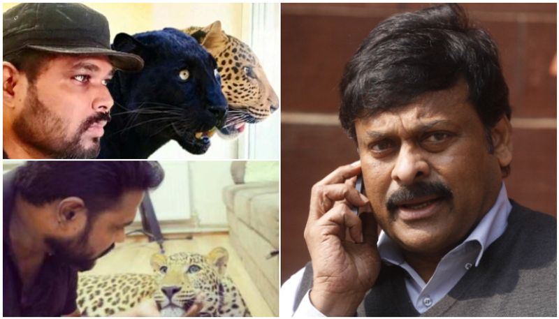 chiranjeevi congratulates indian native doctor who refused to leave Ukraine without his Leopard and Panther