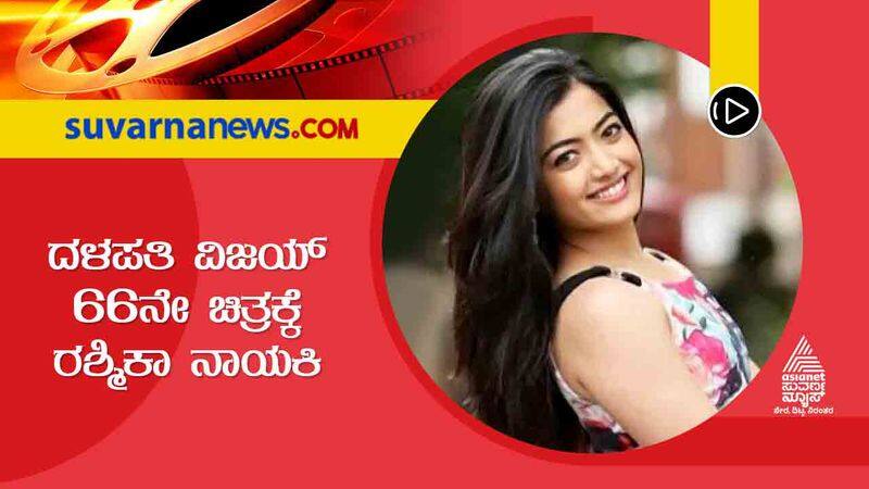 Actress Rashmika Mandanna To Act in Thalapathy Vijay 66th Film gvd