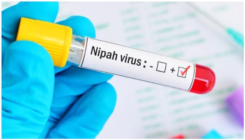 Nipah Virus alert sounded in Kerala after two deaths state health Ministery advisory san