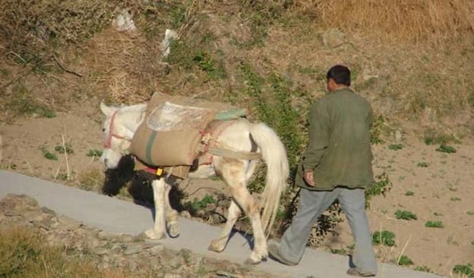 पिता और बेटा गधे पर बैठकर जा रहे थे, लोगों ने कहा ’कितने निर्दयी है, दोनों पैदल चलने लगे…फिर क्या हुआ?