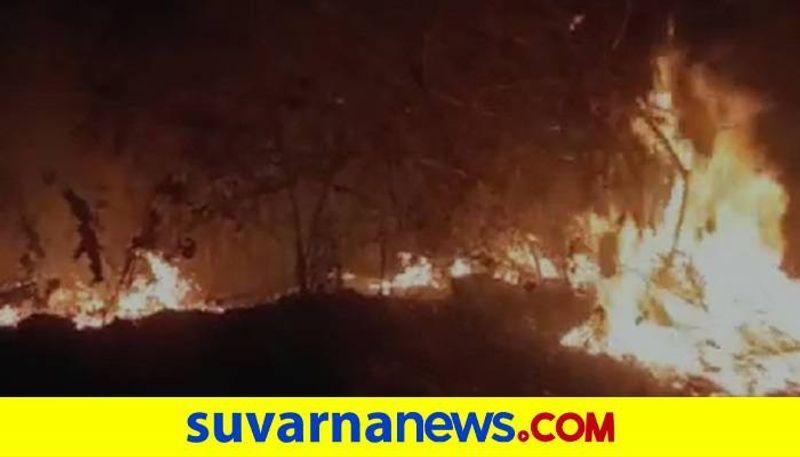 Fire to Forest at  Mudigere in Chikkamagaluru grg